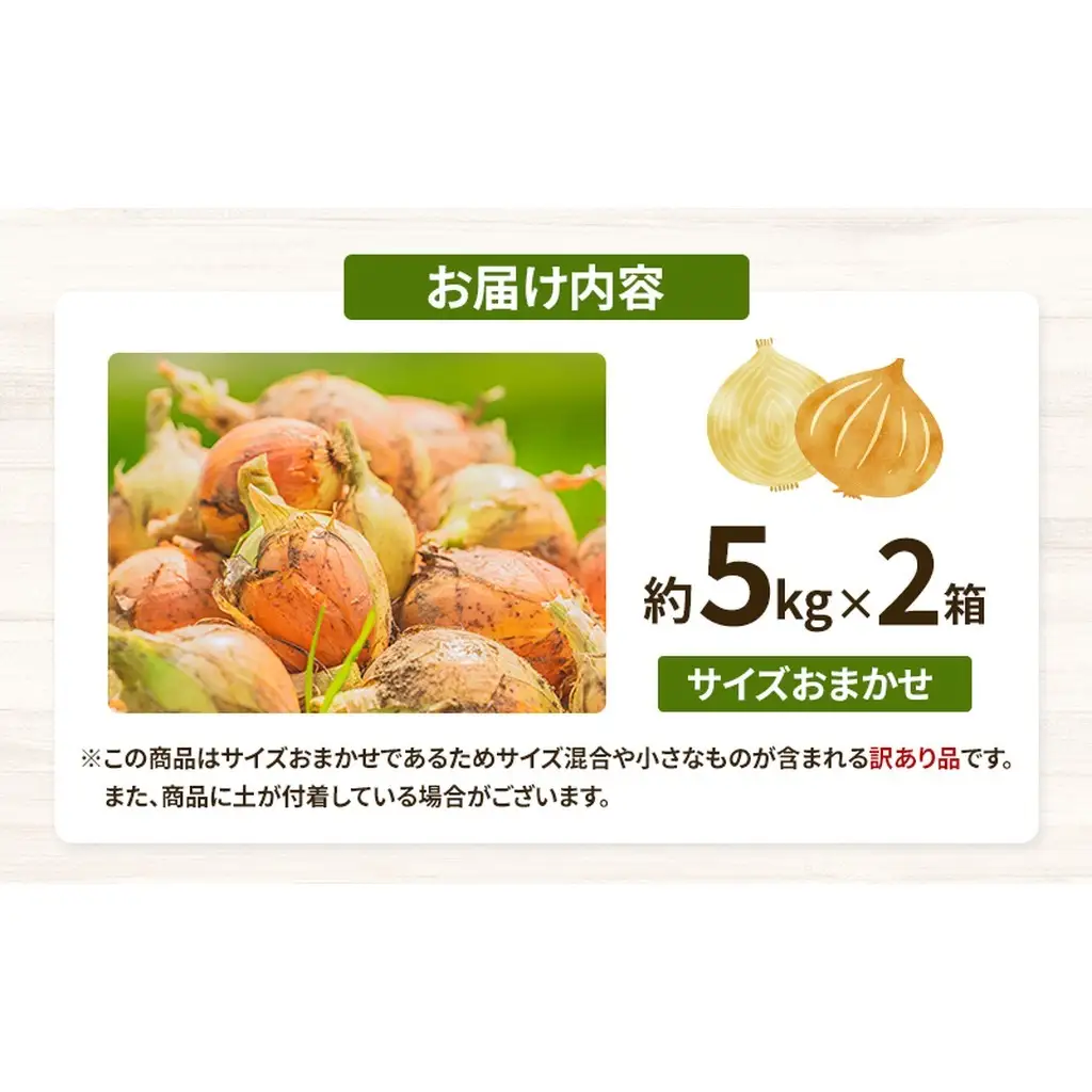 玉ねぎ 訳あり 香川県産 サイズ混合 玉ねぎ【約10kg 5kg×2箱】 【46312768】