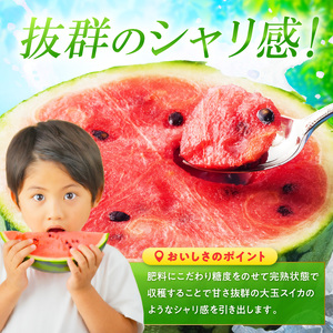 紀州プレミアムひとりじめ（小玉スイカ） 4玉7kg程度≪先行予約2027年5月下旬以降発送分≫【0252-3】