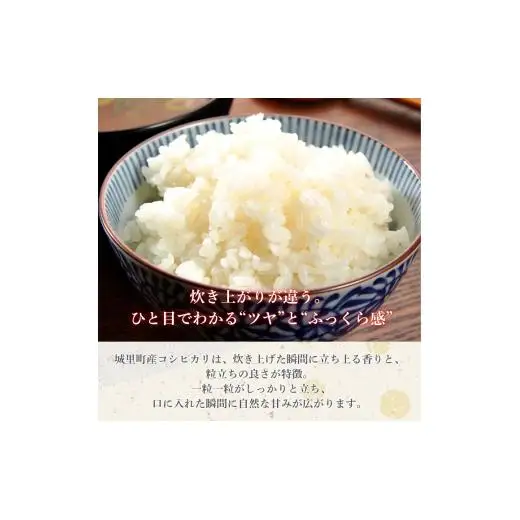 【9カ月定期便】コシヒカリ 5kg（茨城県共通返礼品・城里町産） / 米 こめ コメ お米 おこめ コシヒカリ こしひかり 白米 精米 ごはん ご飯 令和7年産 5kg 定期便 茨城県 城里町 利根町