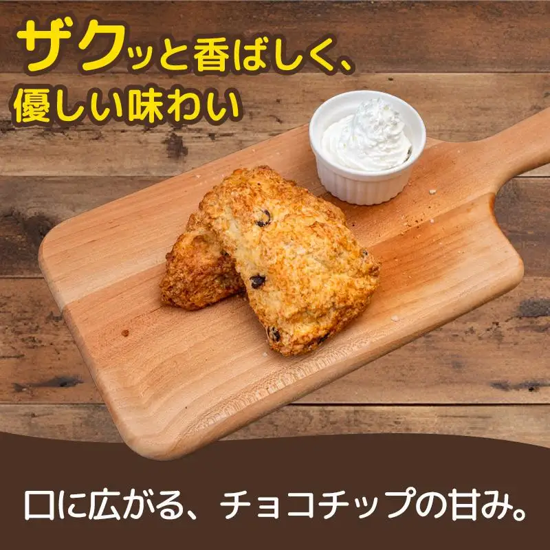 チョコチップ スコーン １１個 セット 