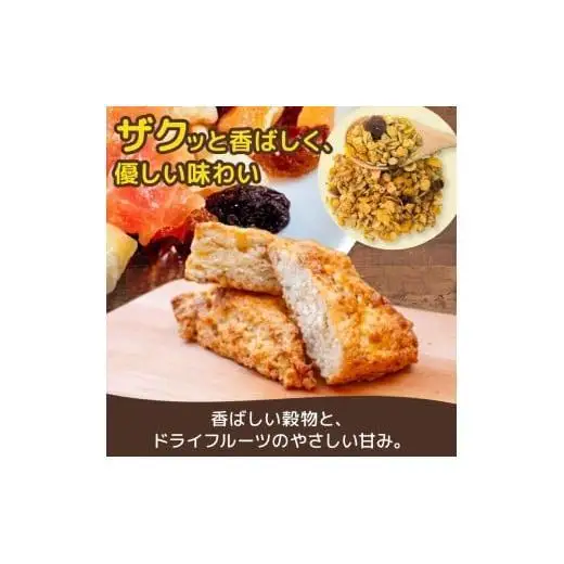 チョコチップスコーン １5個 