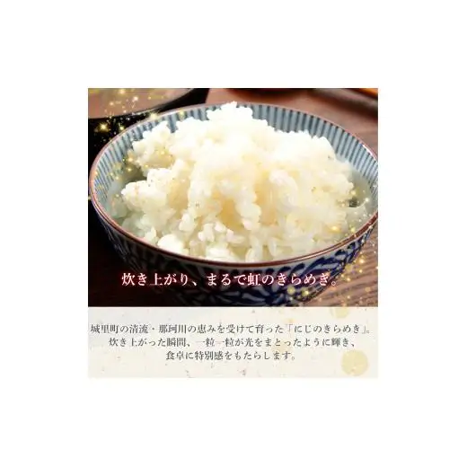 【12カ月定期便】にじのきらめき 10kg（茨城県共通返礼品・城里町産） / 米 こめ コメ お米 おこめ にじのきらめき 白米 精米 ごはん ご飯 令和7年産 10kg 定期便 茨城県 城里町 利根町
