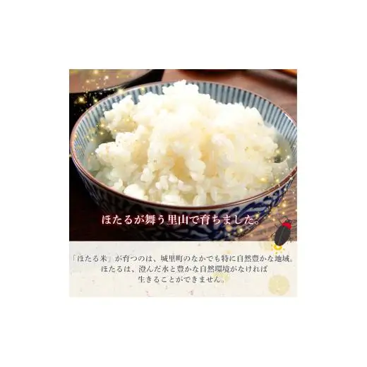 【3カ月定期便】ほたる米 5kg（茨城県共通返礼品・城里町産） / 米 こめ コメ お米 おこめ ほたる米 白米 精米 ごはん ご飯 令和7年産 5kg 定期便 茨城県 城里町 利根町
