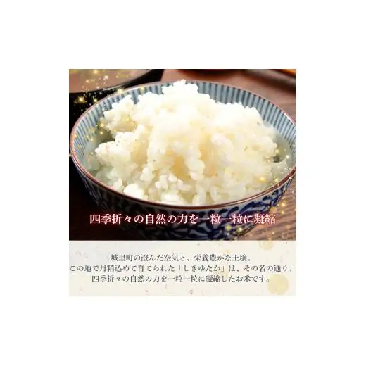 しきゆたか 5kg（茨城県共通返礼品・城里町産） / 米 こめ コメ お米 おこめ しきゆたか 白米 精米 ごはん ご飯 令和7年産 5kg 茨城県 城里町 利根町