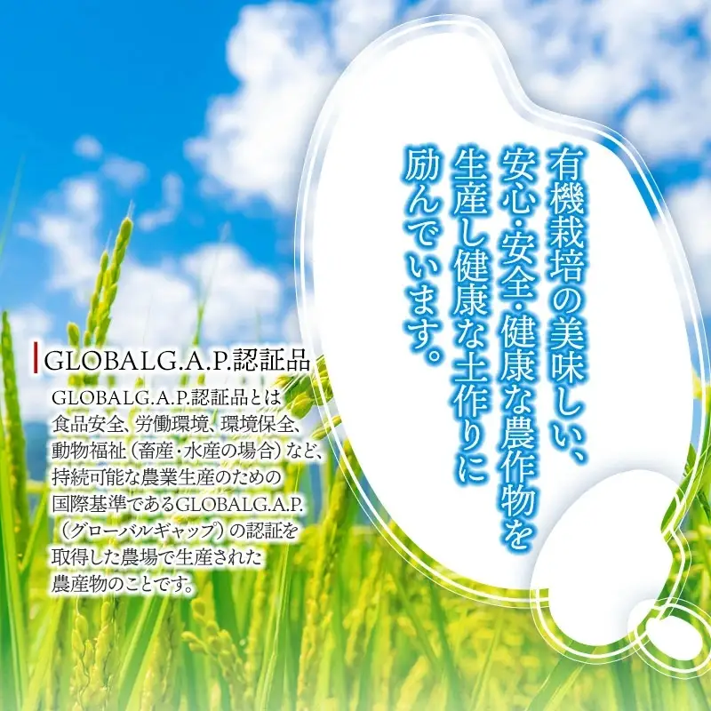 【令和7年産】【定期便6ヶ月】有機栽培米 つや姫 【玄米】 10kg（5kg×2袋）×6回　山形県鶴岡市産　出羽弥兵衛　| お米 米 コメ こめ ライス つやひめ 10キロ ご飯 ブランド米 国産 主食 お取り寄せ 返礼品