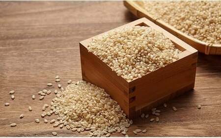 【隔月3回定期便】 令和8年産 玄米 5kg×隔月3回(2ヶ月に1回) お届け 品種 たかたのゆめ RT3240
