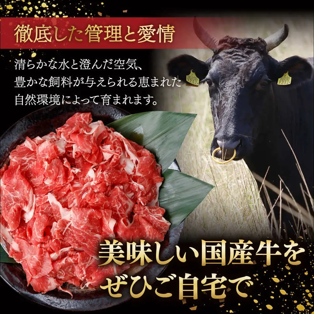 【12回定期便】国産 黒毛和牛 熟成肉 切り落とし 500g / 小分け 国産牛 お肉 牛肉 切落し 冷凍 焼肉 すき焼き / 南島原市 / ふるさと企画[SBA099]