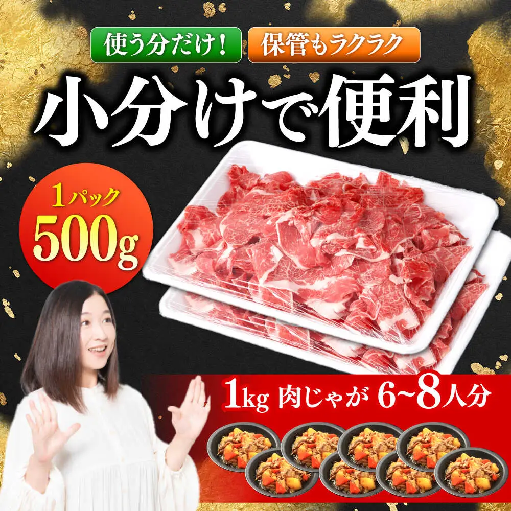 【6回定期便】国産 黒毛和牛 熟成肉 切り落とし計1kg(500g×2パック)/ 小分け 国産牛 お肉 牛肉 切落し 冷凍 焼肉 すき焼き / 南島原市 / ふるさと企画[SBA096]