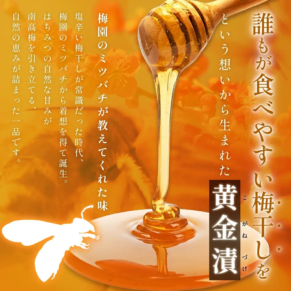 元祖はちみつ入梅干 黄金漬 800g【umicbn005】