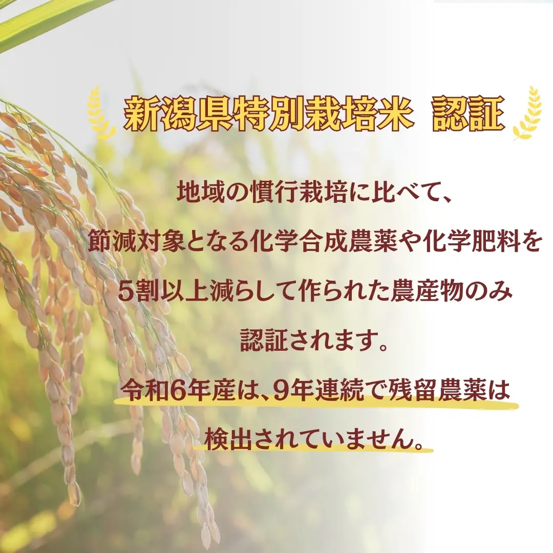 【令和8年 先行予約 定期便】魚沼産コシヒカリ 60kg (10キロ×6回) 佐藤農場 | 新潟県 おこめ コシヒカリ 小千谷