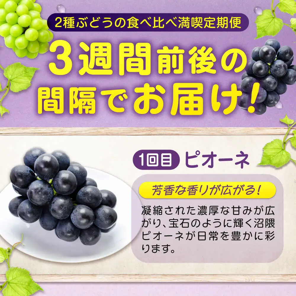 ぶどう【全2回定期便】ピオーネ マスカット 各2kg（計2種）[BAEV014] ぶどう