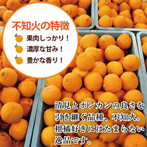 【不知火】 約 2kg (2Lサイズ 6個 ) 不知火 みかん しらぬい