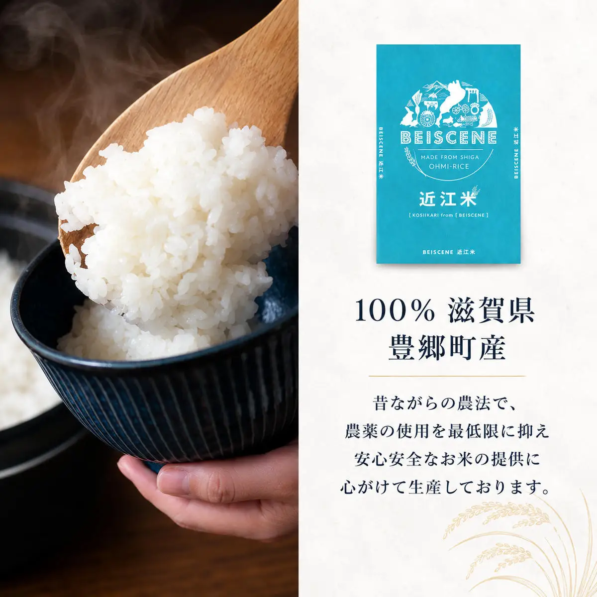 コシヒカリ お米 5kg 精米 定期2ヶ月 コシヒカリ