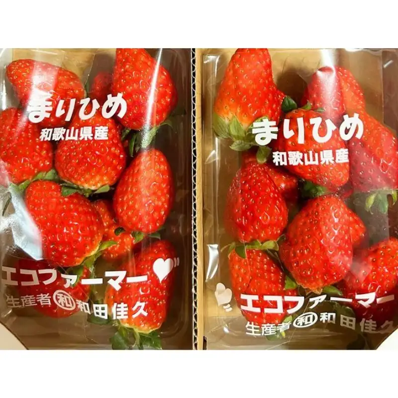 紀州和歌山ブランドいちご「まりひめ」約280g×2p 【2027年1月上旬頃〜3月上旬頃に順次発送】【Z-uot759】 