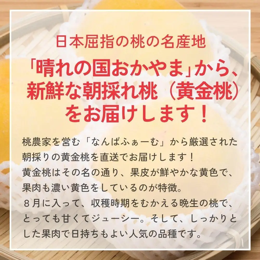【2026年先行予約】［なんばふぁーむ］岡山県産 黄金桃 750g（3玉）［ご家庭用］【039-a013】