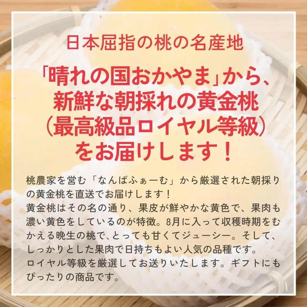 【2026年先行予約】［なんばふぁーむ］岡山県産 黄金桃 750g（3玉）[ギフト用]【039-a014】