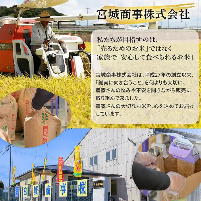 ≪令和7年産≫ ミルキークイーン 精米 5kg(5kg×1袋) 低アミロース米 登米市産 米 お米 おこめ ごはん ご飯 白米 おにぎり お弁当 5kg 【宮城商事株式会社】tm563