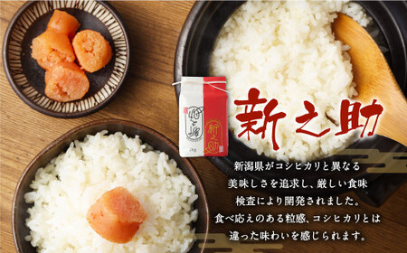 【新米受付・令和8年産米】 【定期便 6ヶ月】新潟県村上市岩船産　新之助　精米6kg（2kg×3個セット）×6ヶ月 1050015N