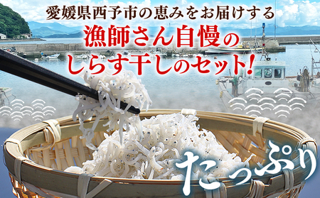 ＜漁師さん自慢のしらす干し 合計1kg 2回定期便＞ 定期便 シラス 魚介類 さかな 海産物 海鮮 海の幸 小分け 国産 ご飯のお供 丼 晩酌 おかず 特産品 濱田水産 愛媛県 西予市 【冷凍】『お申込み月の翌月より配送を開始します』AHS0016