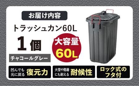 ペールカンのふた付きゴミ箱 60L チャコールグレー 1個 / ダストボックス ゴミ箱 ごみ箱 / 恵那市 / 東谷株式会社 明智流通センター[AUAD137]