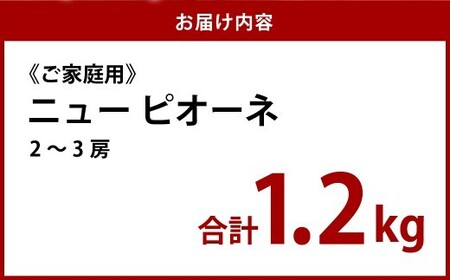 《ご家庭用》ニュー ピオーネ 2～3房（合計約1.2kg）　ブドウ 葡萄 岡山県産 国産 フルーツ 果物 岡山県 倉敷市 　【2026年9月上旬～10月上旬発送予定】