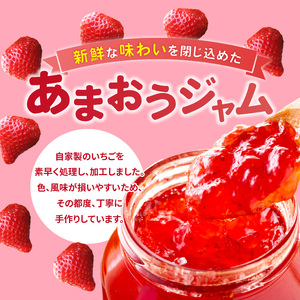 あまおうのトロジャム４個セット _R00107