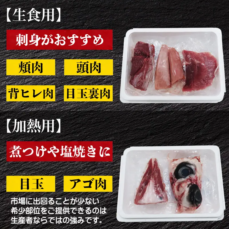 生食・加熱用 国産 黒まぐろ 1尾分 希少部位6種セット