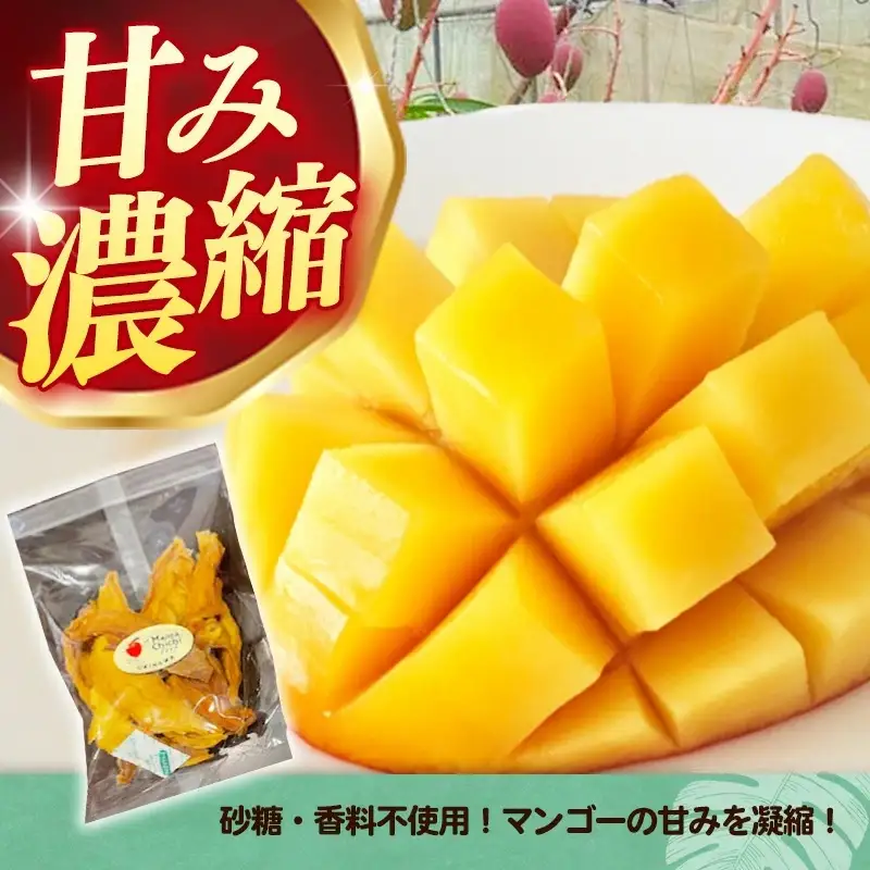 ママチチマンゴーファームの無添加ドライマンゴー（約60g×2セット）- ポストイン配送  産地直送 ドライフルーツ ギフト 沖縄マンゴー 沖縄県 八重瀬町