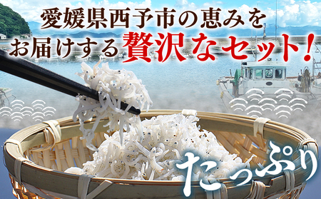 ＜ちりめん＆しらす干し お試し食べ比べセット 合計410g 6回定期便＞ 定期便 西予市産 ちりめんじゃこ ふりかけ 詰め合わせ 詰合せ チリメン シラス 家庭用 小分け 濱田水産 愛媛県 西予市【冷凍】『お申込み月の翌月より配送を開始します』AHS0024