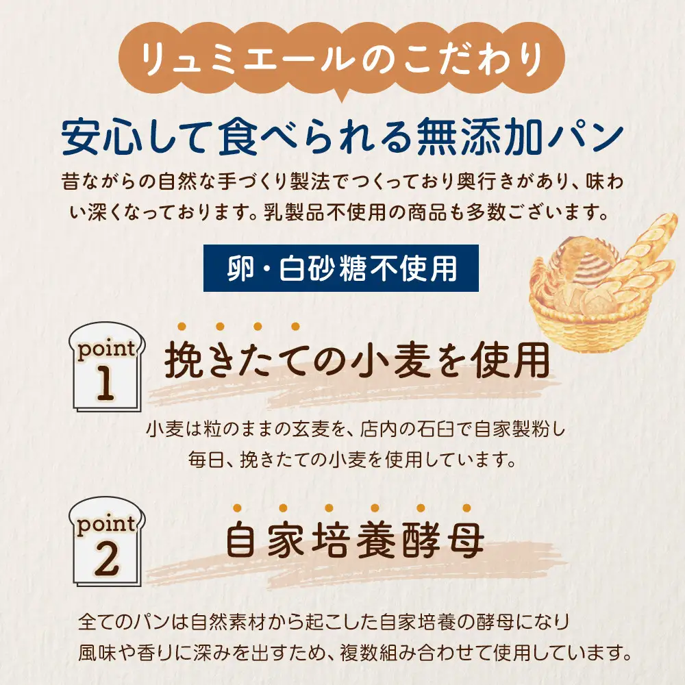 リュミエールの自然酵母パン　6種10個セット