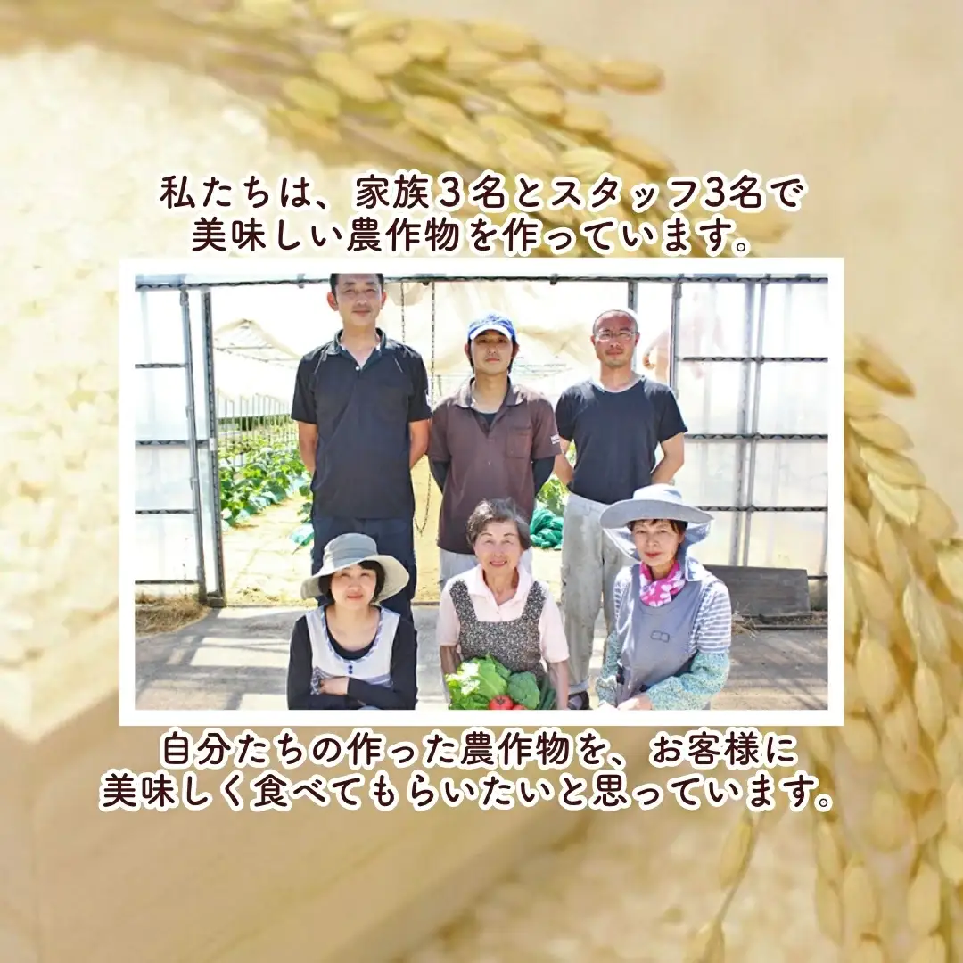 【令和8年先行予約】五泉産 里芋 2L 3kg 新潟県 五泉市 渡辺農園