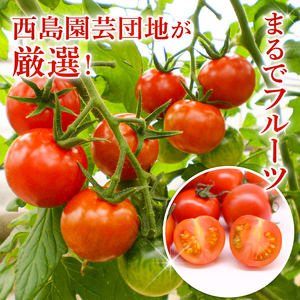 【フルティカトマト】トマト 2kg 先行予約