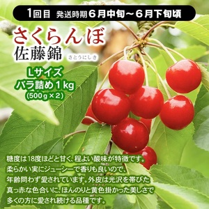 【フルーツ定期便】【令和9年産】 さくらんぼ・メロン・大粒ぶどうの詰合せ (計3回) 山形県鶴岡産 産直あぐり 