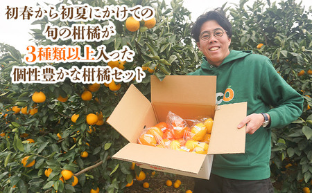 ＜笑丸のお楽しみ柑橘福袋（家庭用）約5kg＋500g＞感謝企画 自宅用 訳あり 果物 くだもの フルーツ ミカン みかん 蜜柑 高級柑橘 詰め合わせ 春柑橘 春みかん 夏柑橘 特産品 笑丸 愛媛県 西予市 常温『2026年1月～5月に順次出荷予定』AAN0082