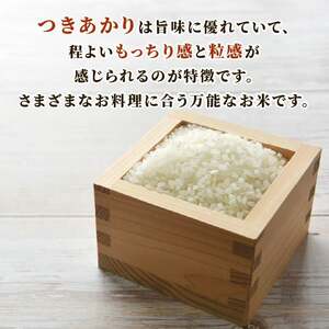 【2026年10月発送】 お米 つきあかり 米 5kg お茶 セット つきあかり 