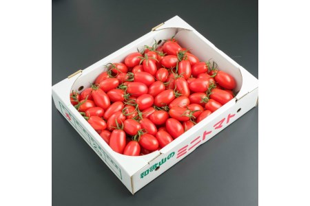 旬の野菜・フルーツ定期便4回【8007-3】