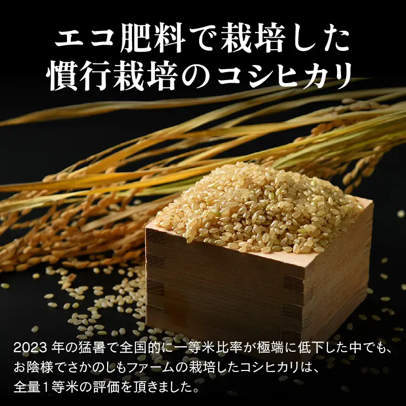 【先行予約】【令和8年産 新米】【一等米】定期便 ≪12ヶ月連続お届け≫ エコ栽培コシヒカリ  玄米5kg×12回 計60kg ／ 鮮度抜群 福井県産 こしひかり ご飯 新鮮 玄米 ※2026年10月上旬以降順次発送 [aw063-j006]