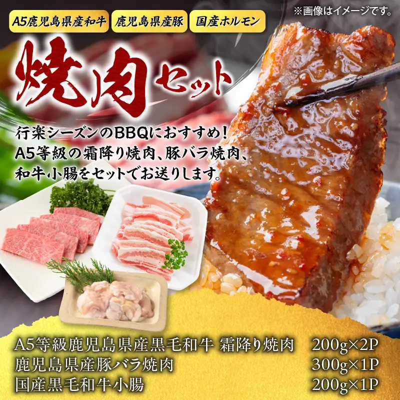 【 A5和牛 ・ 豚 ・ ホルモン 】焼肉セット900g K002-055 豚肉 豚バラ 牛肉 黒毛和牛