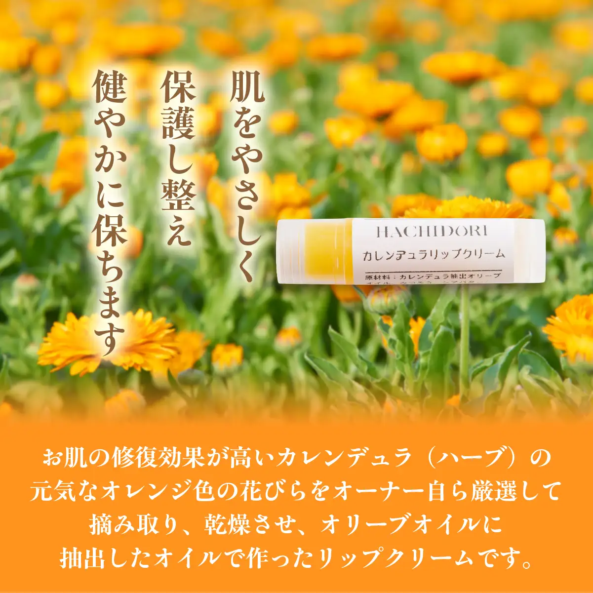 カレンデュラリップクリーム 計25g（5g×5） MROC021
