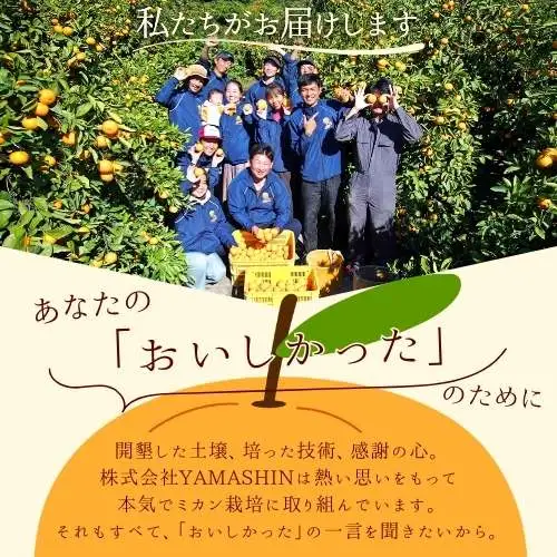 【2026年10月発送予約分】みかん 【家庭用】こだわりの有田みかん 約4kg＋250g(傷み補償分) ※サイズ混合※北海道・沖縄・離島配送不可 ＼光センサー選別／ 【農家直送】 有機質肥料100% みかん ミカン 有田みかん 温州みかん 柑橘 有田 和歌山 【nuk148-10】