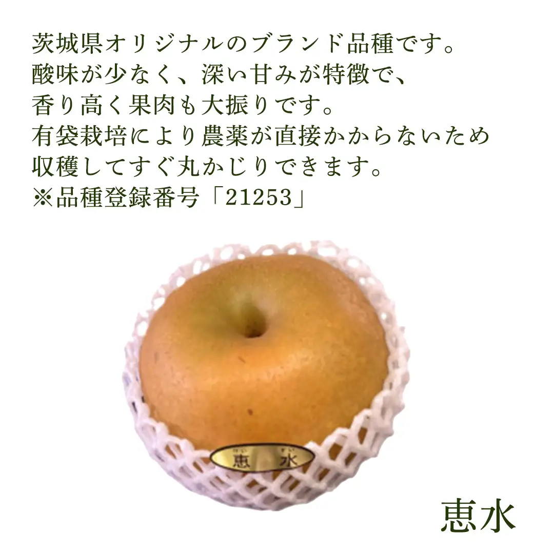 【ふるなびWEEK対象】＜農家直送＞梨 茨城県オリジナルブランド品種 恵水 大玉サイズ4～6個(約3kg)  (BB004)