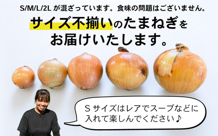 【先行予約】淡路島 新玉ねぎ 3kg 訳あり サイズ不揃い 簡易箱でお届け / 新玉ねぎ