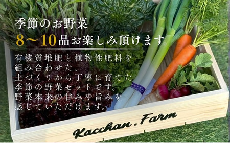 【定期便3ヶ月】季節の野菜詰め合わせ Bセット 野菜食べ比べ 旬の野菜 野菜セット 定期便 | 石川県 小松市【Kacchan.Farm】