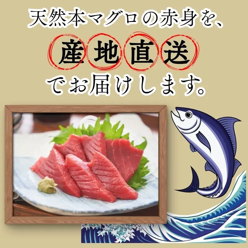 【9月上旬から順次発送】本マグロ 赤身 2柵 国産 本鮪 