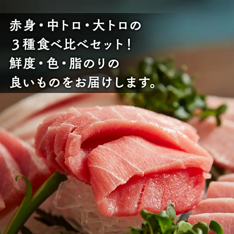 天然 本マグロ 赤身 中トロ 大トロ 3種セット 国産 本鮪  [fu-0012-002]