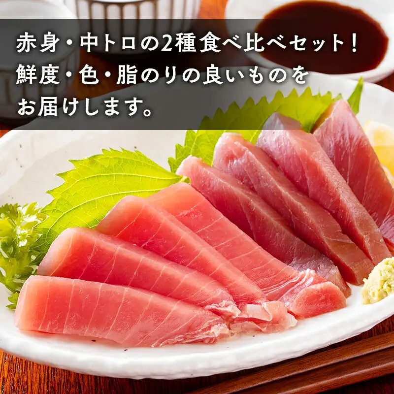 天然 本マグロ 赤身 中トロ 2種セット 国産 本鮪 [fu-0012-006]