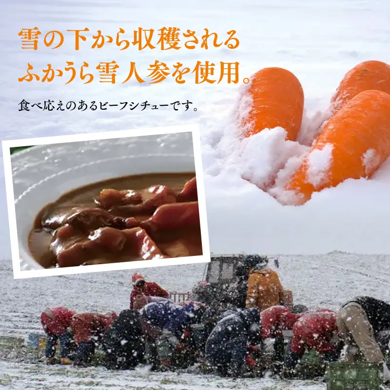 雪人参 ビーフシチュー 220g×4個 [fu-0001-002]