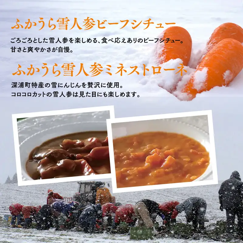 雪人参ビーフシチュー 雪人参ミネストローネ レトルトパック 各3個  [fu-0001-003]