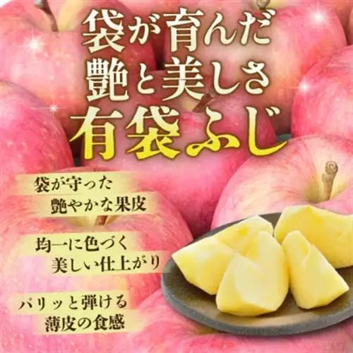 【先行受付】青森県産りんご 平均糖度13度以上! 有袋ふじ 約5kg 訳あり クール便【配送不可地域：離島・沖縄県】【1707179】