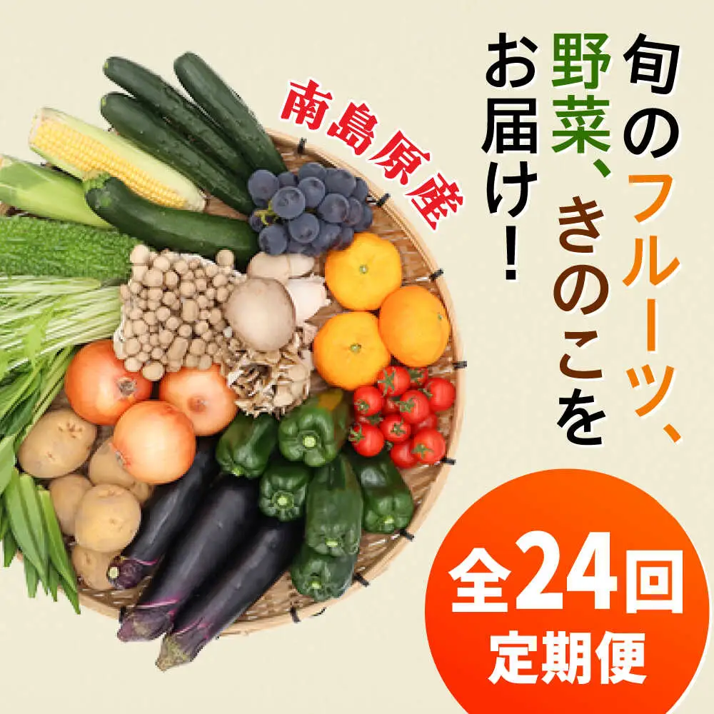 【全24回 月2回お届け】野菜定期便15品目以上 [SCZ003]